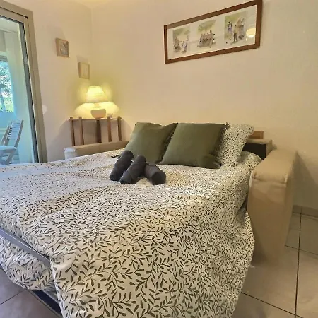 Appartamento Coudou Cosy Proche *